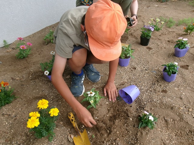 深谷西小学校
