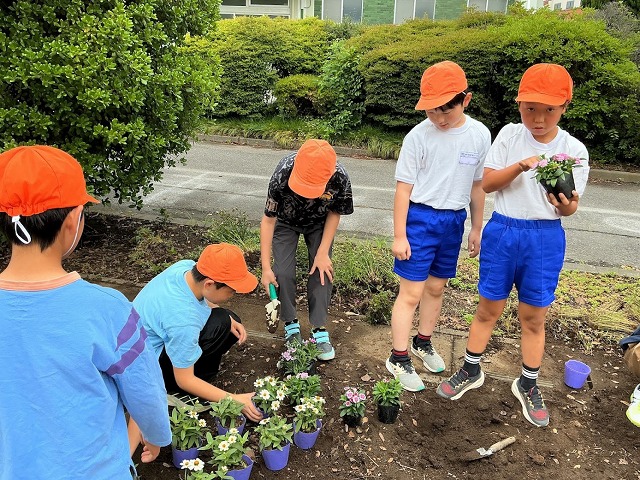 深谷小学校