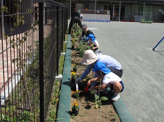 ふかや幼稚園