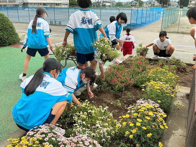 花園中学校