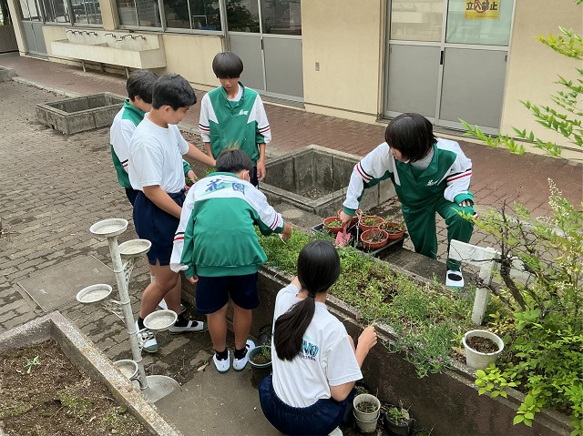 花園中学校
