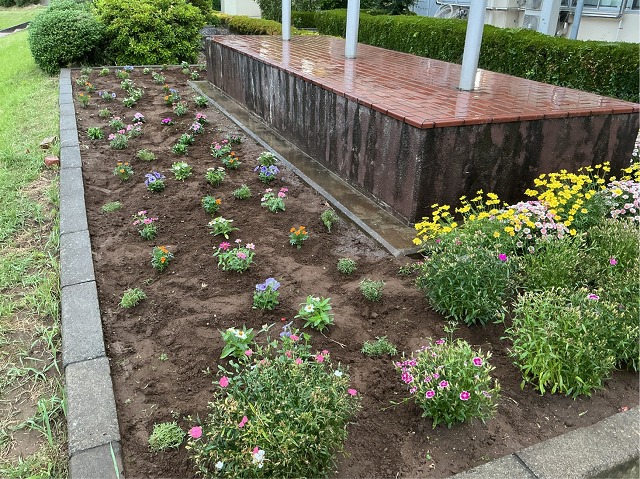 花園中学校