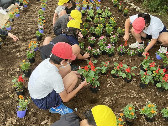 花園小学校