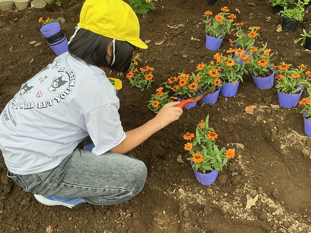 花園小学校