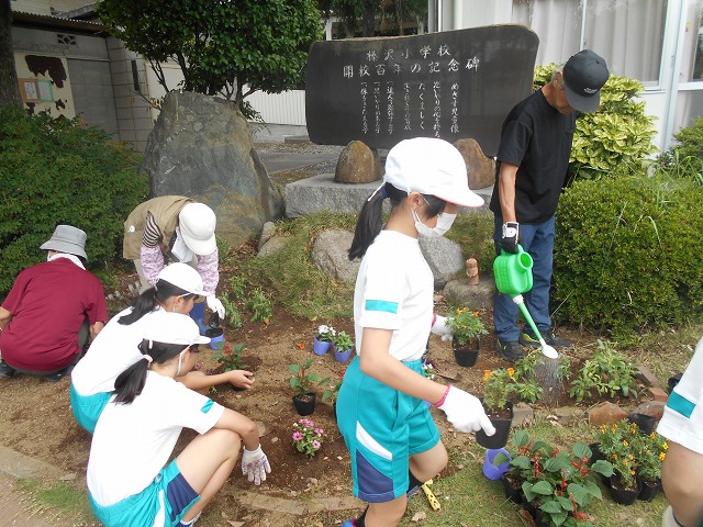 榛沢小学校