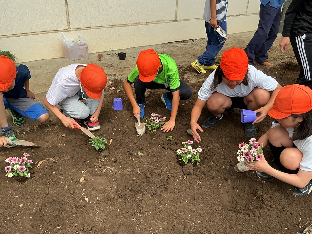 幡羅小学校