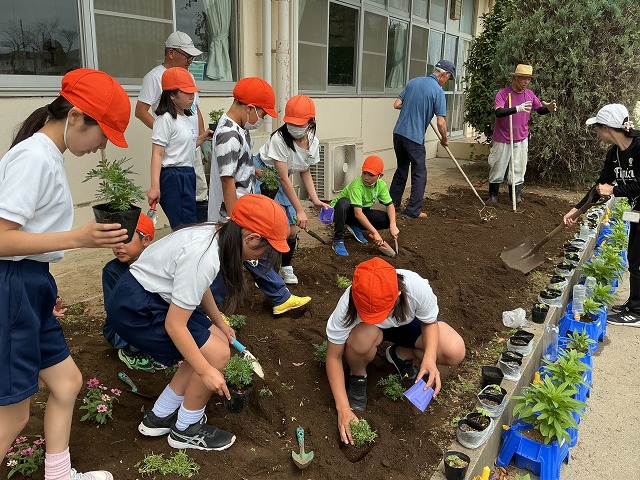幡羅小学校