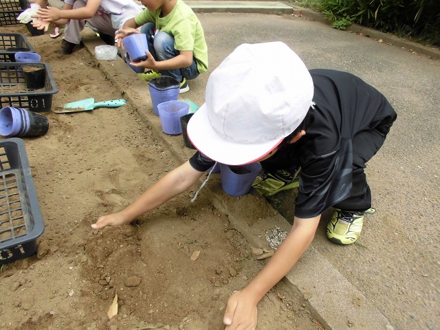 本郷小学校