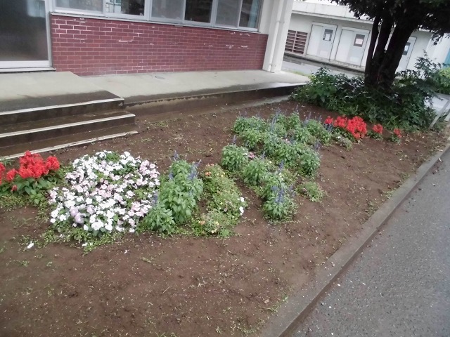本郷小学校