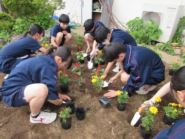 南中学校