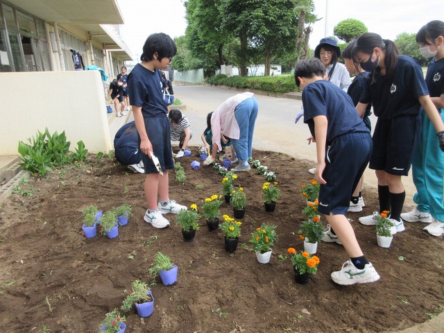 南中学校