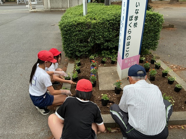 桜ケ丘小学校