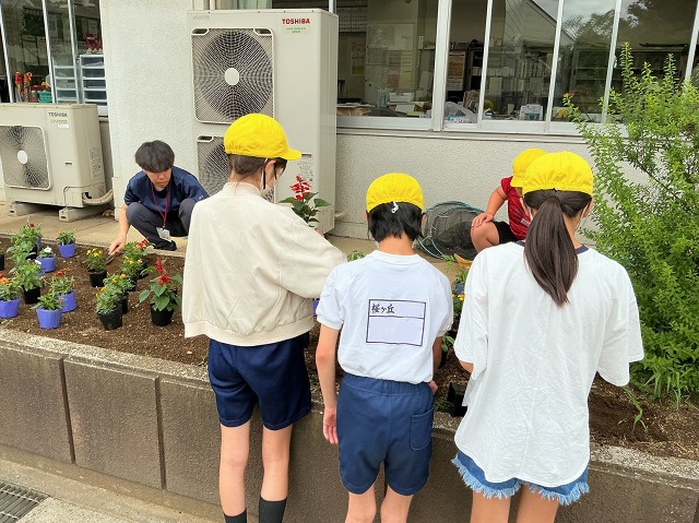 桜ケ丘小学校