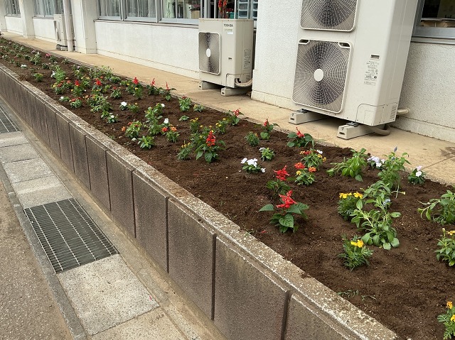 桜ケ丘小学校