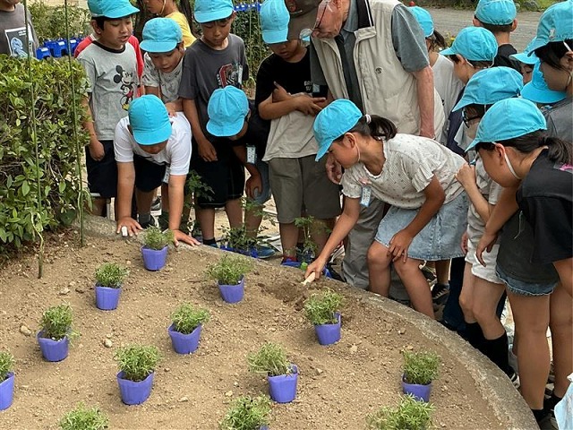 常盤小学校