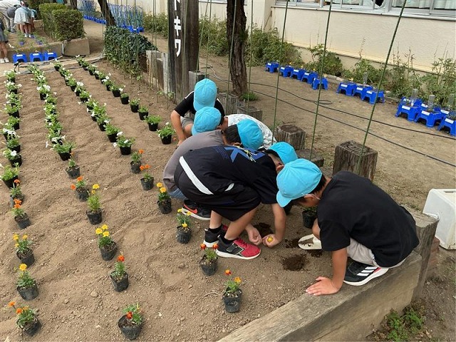 常盤小学校