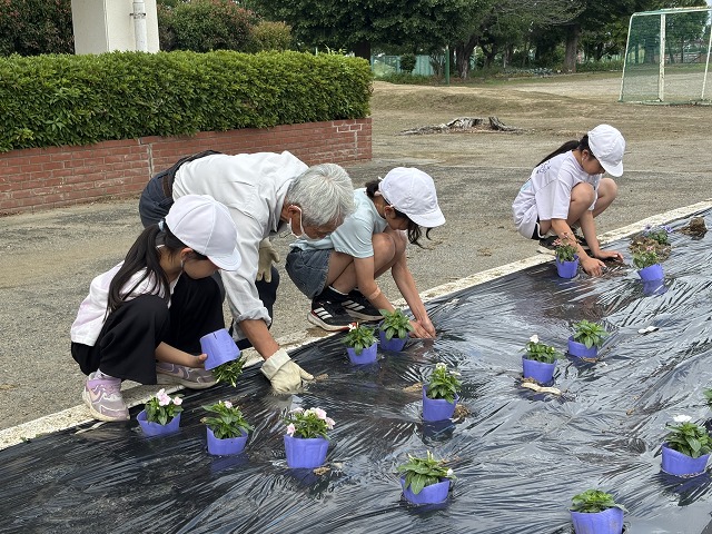 八基小学校