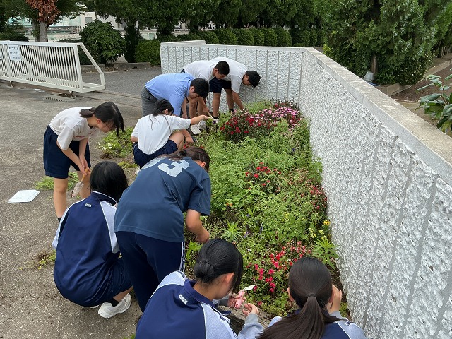 幡羅中学校