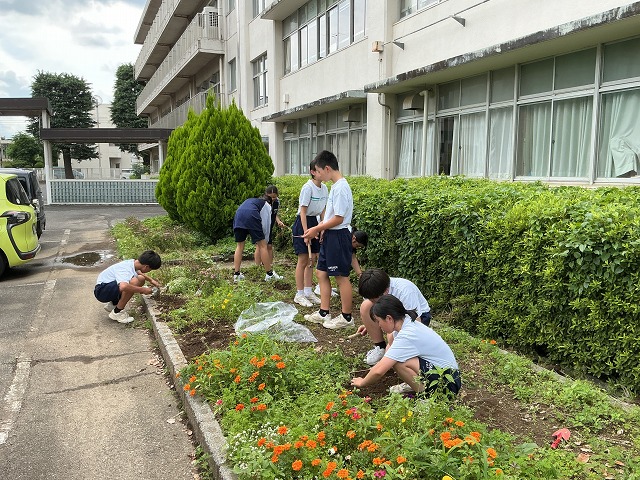 幡羅中学校