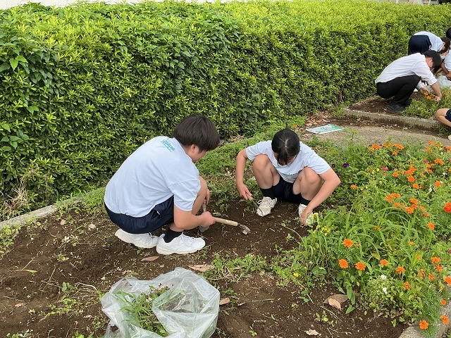 幡羅中学校