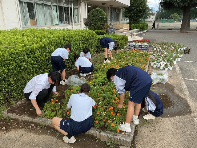幡羅中学校