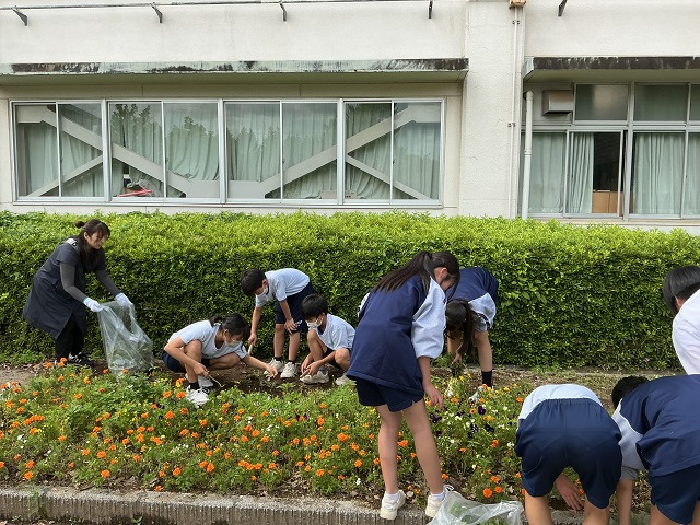 幡羅中学校