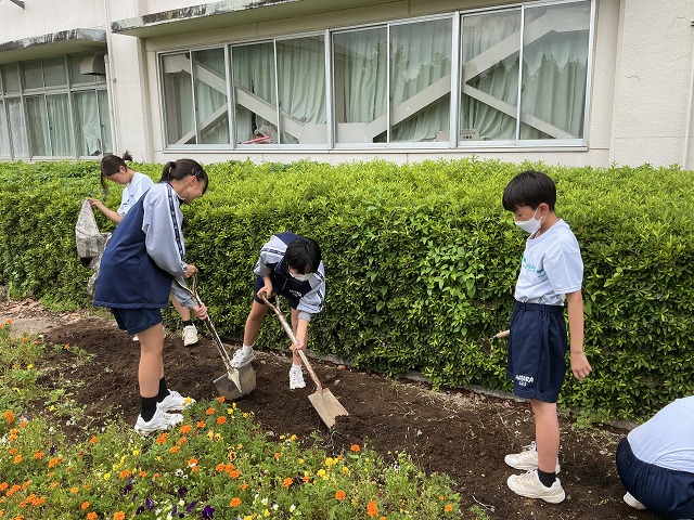 幡羅中学校