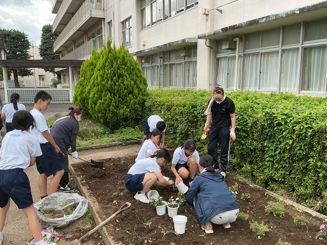幡羅中学校