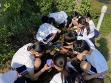 岡部中学校