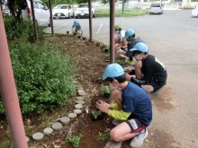 深谷西小学校