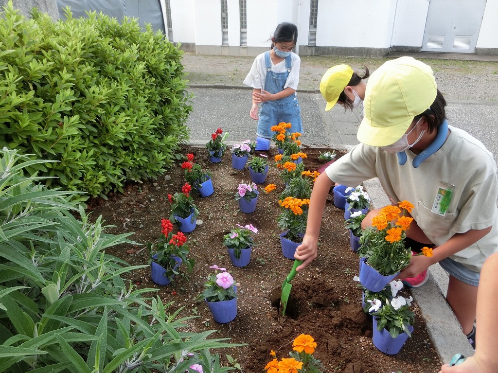 深谷西小学校