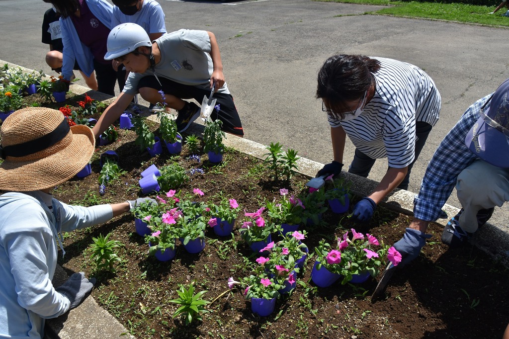 藤沢小学校