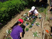岡部西小学校