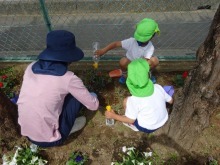 藤沢幼稚園