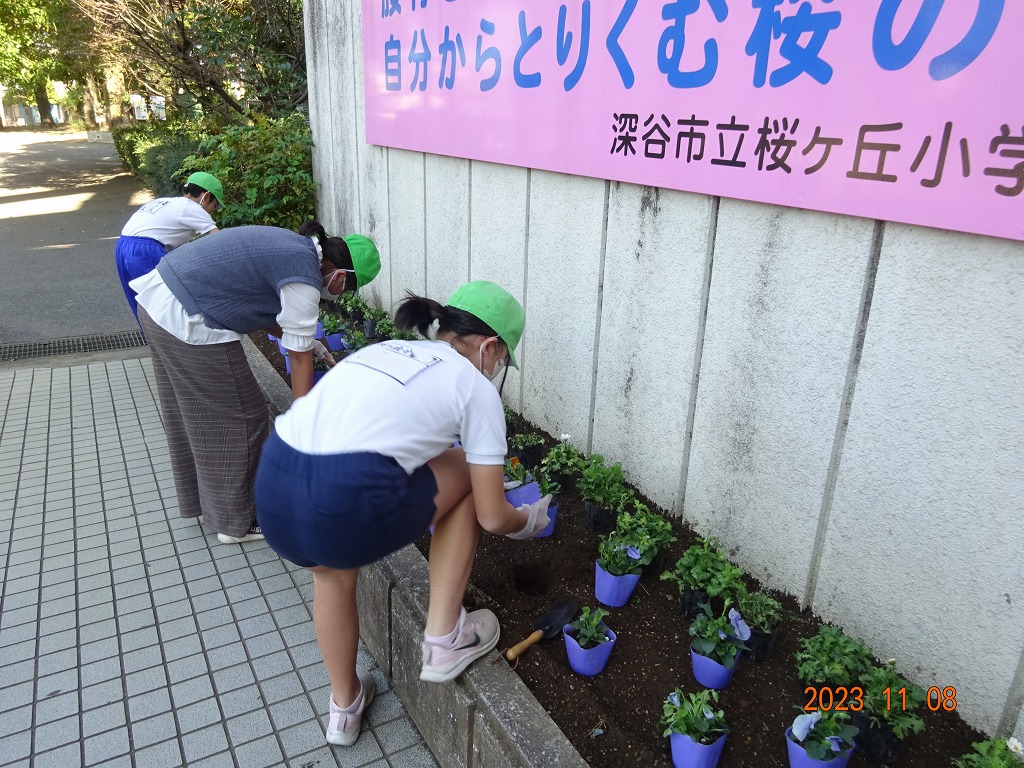 桜ケ丘小学校