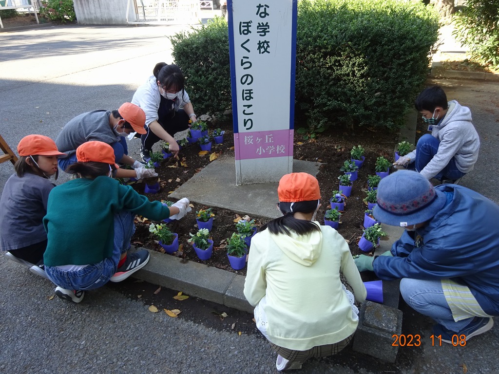 桜ケ丘小学校
