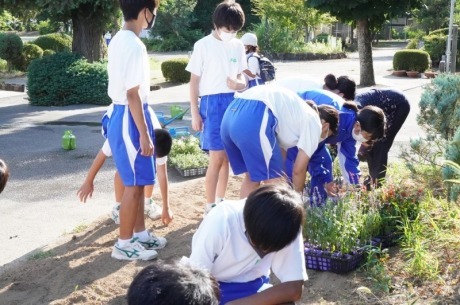藤沢中学校