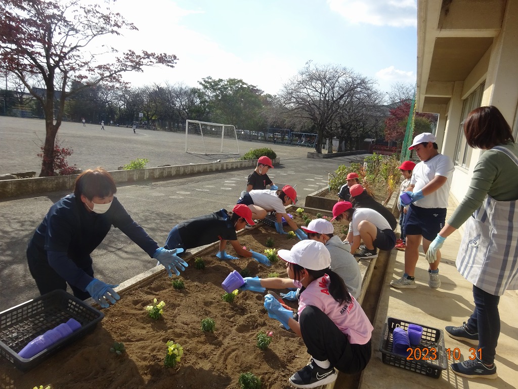 豊里小学校