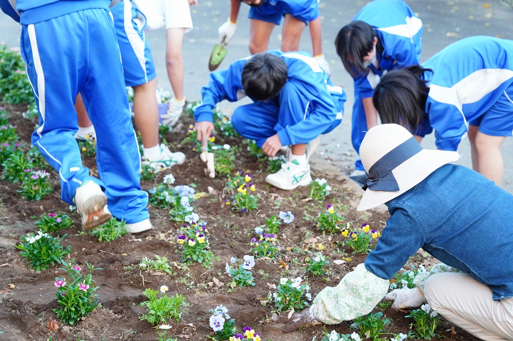 藤沢中学校
