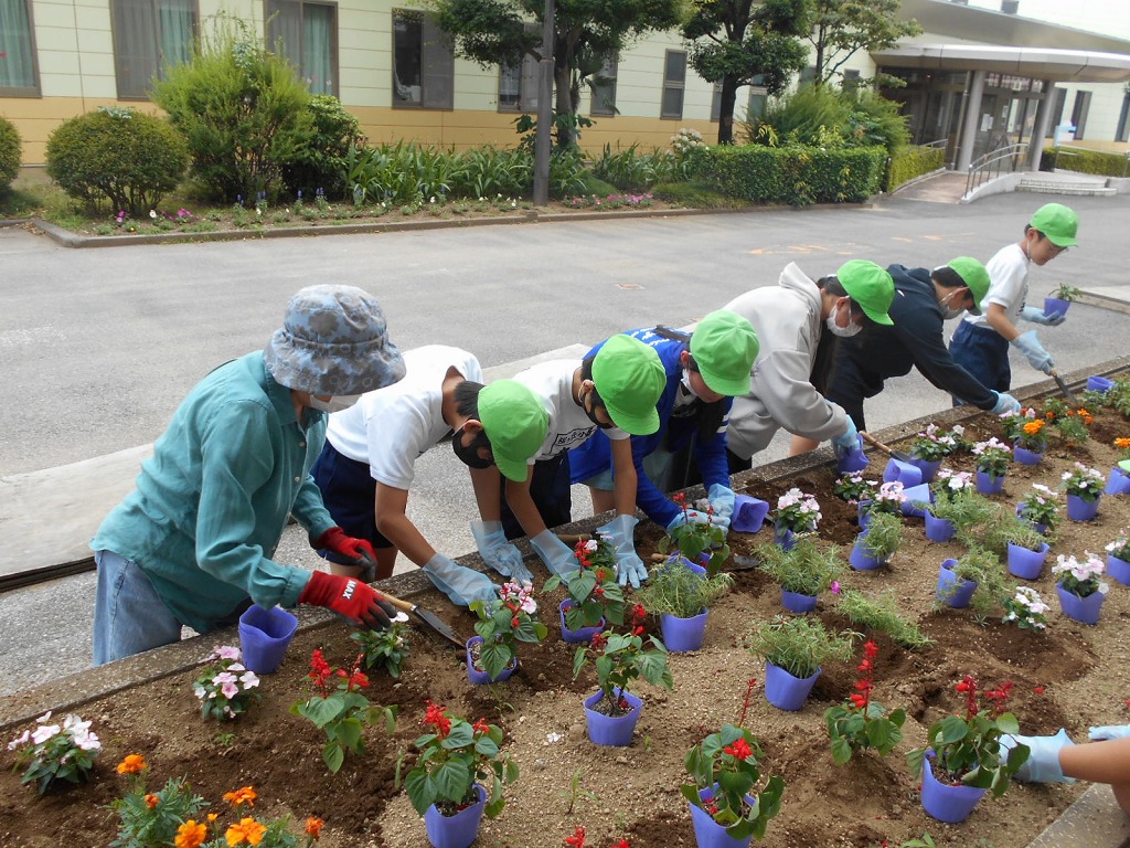 桜ケ丘小学校