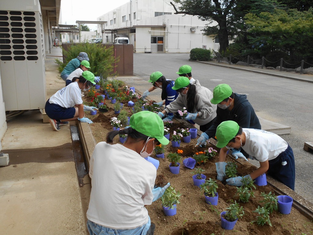 桜ケ丘小学校