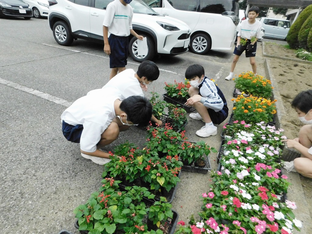 幡羅中学校