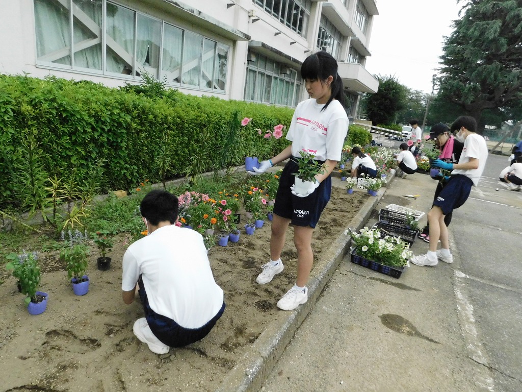 幡羅中学校