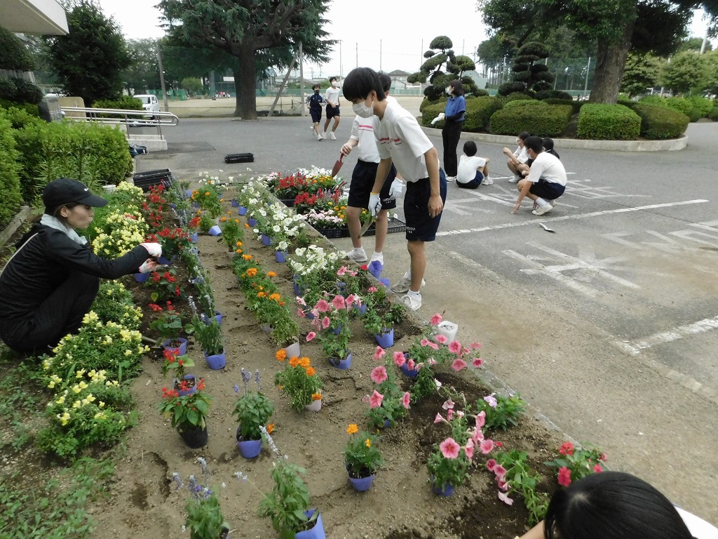 幡羅中学校