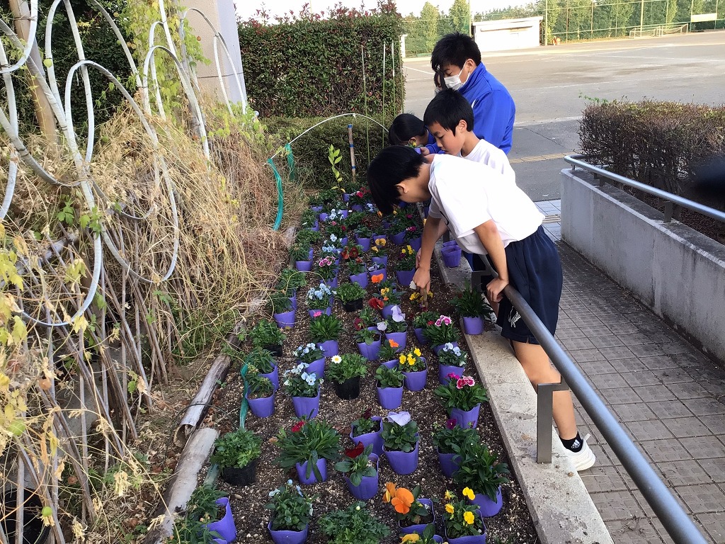 豊里中学校