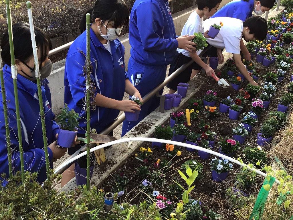 豊里中学校