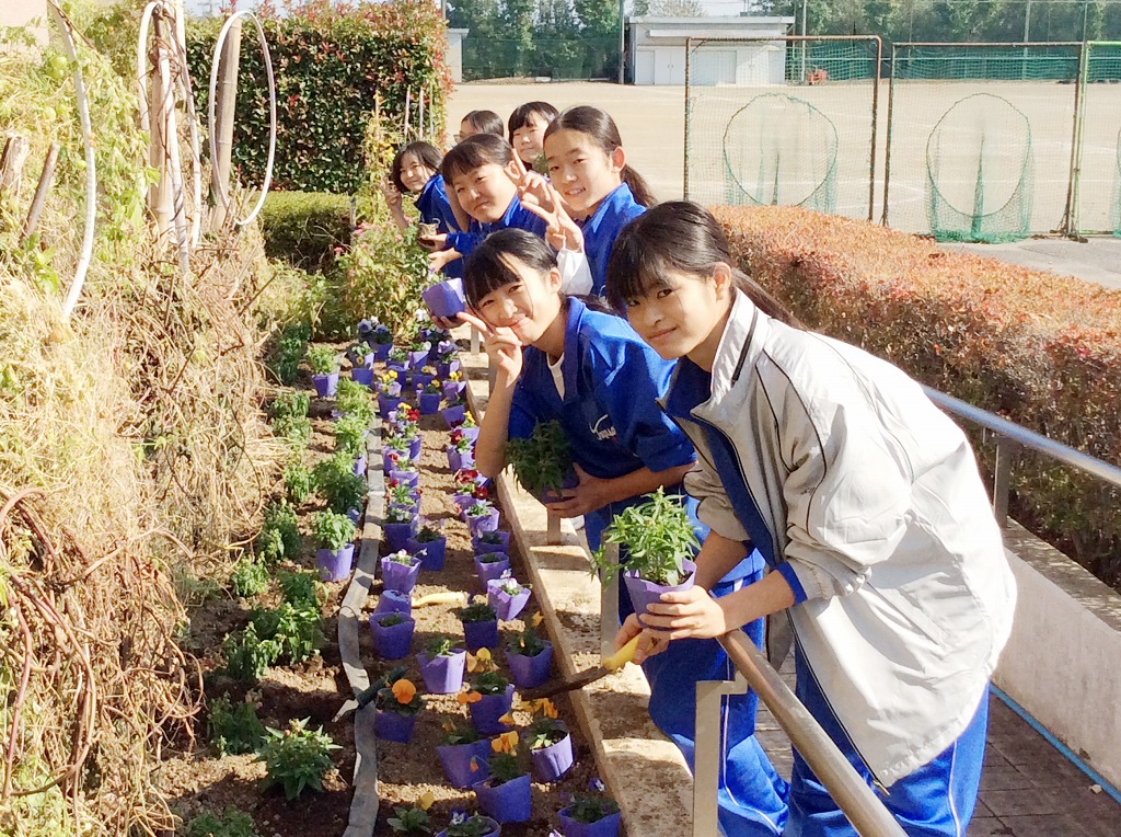 豊里中学校