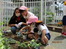 花園幼稚園