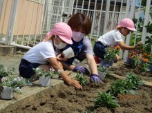 花園幼稚園