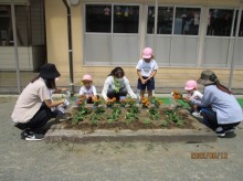 花園幼稚園